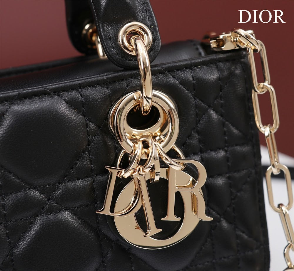 Ezyycart Bags Diorn Luxury Bag --116452