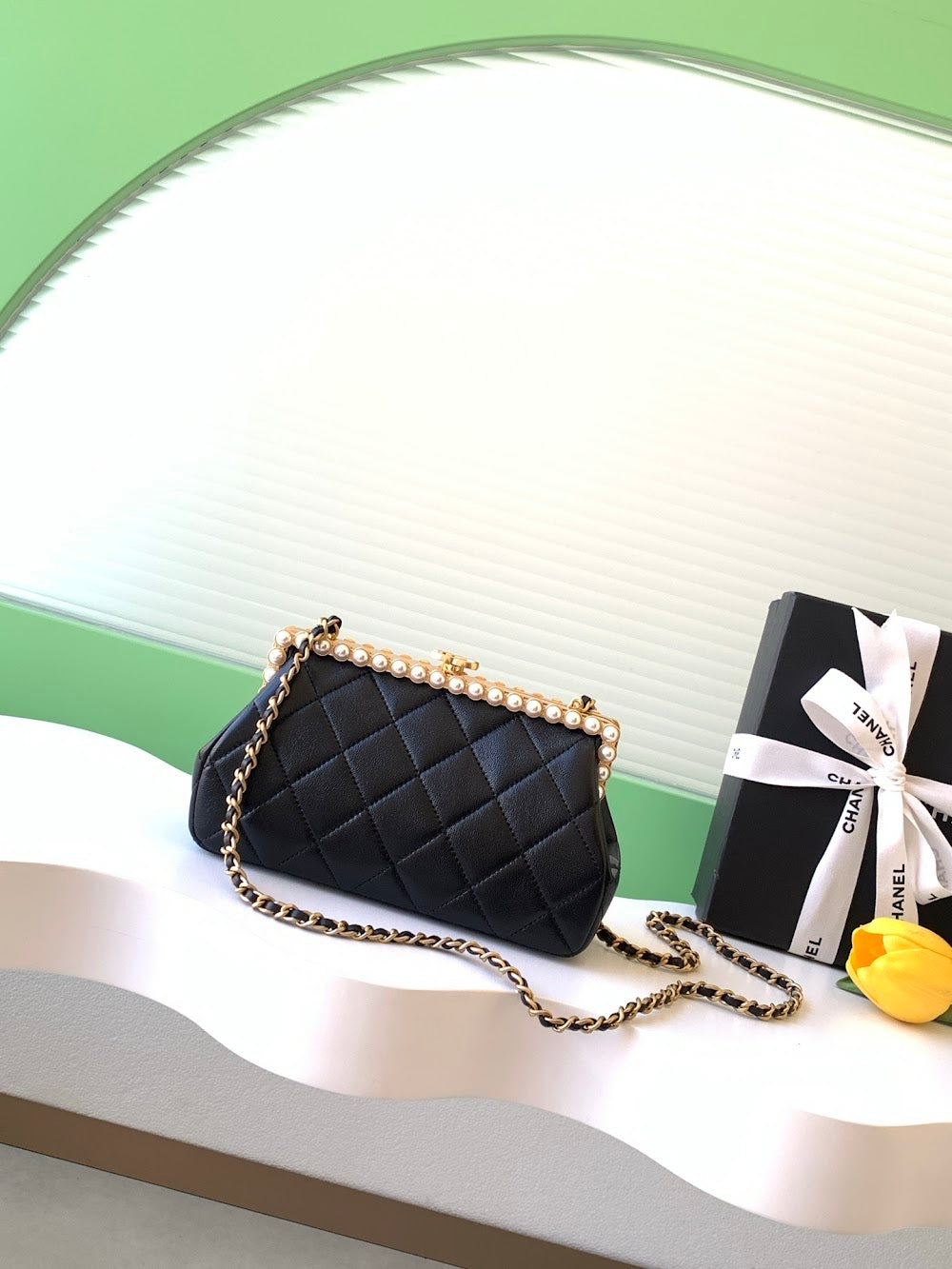 Anum Bags CHn Luxury Bag --113911