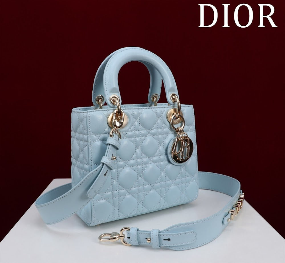 Ezyycart Bags Diorn Luxury Bag --115928