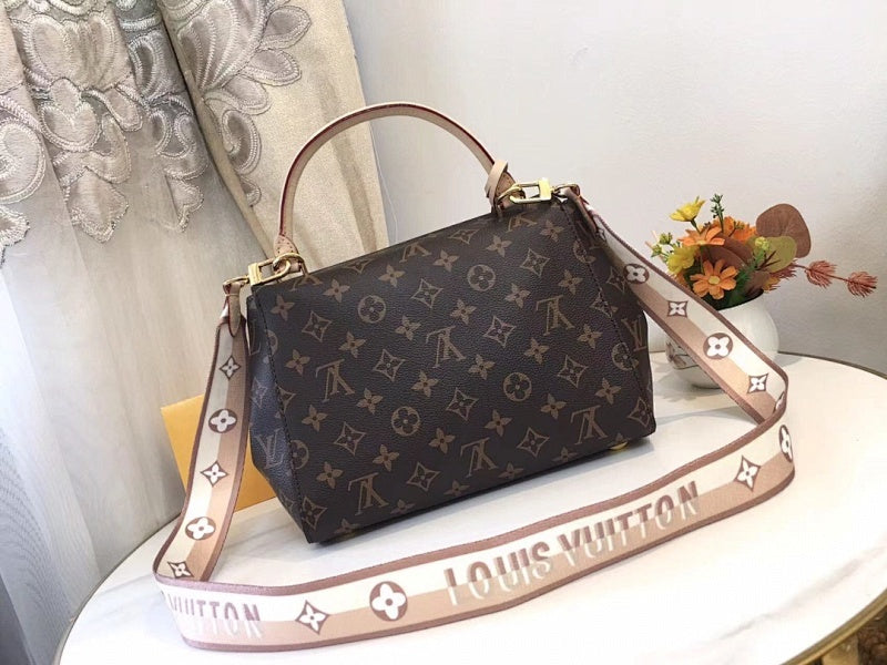 Anum Bags LVn Luxury Bag --81184