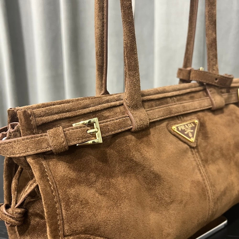 Ezyycart Bags Pradn Luxury Bag --101941