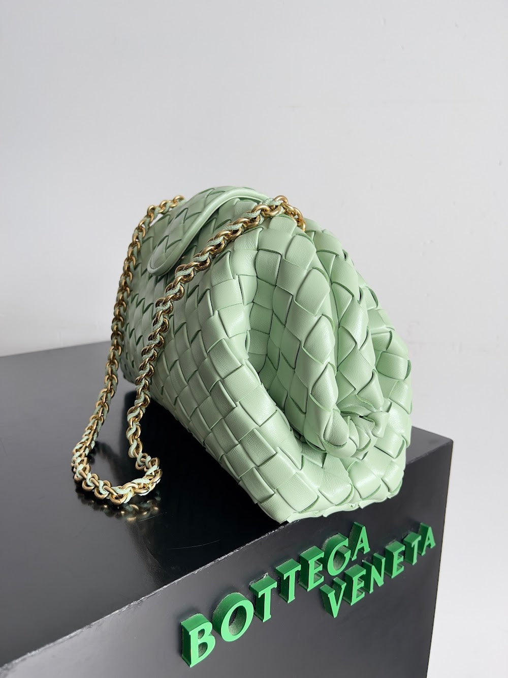 Ezyycart Bags Bottegan Luxury Bag --91077
