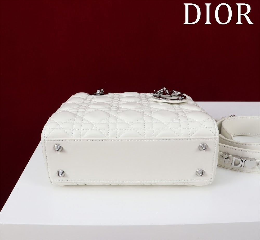 Ezyycart Bags Diorn Luxury Bag --115935