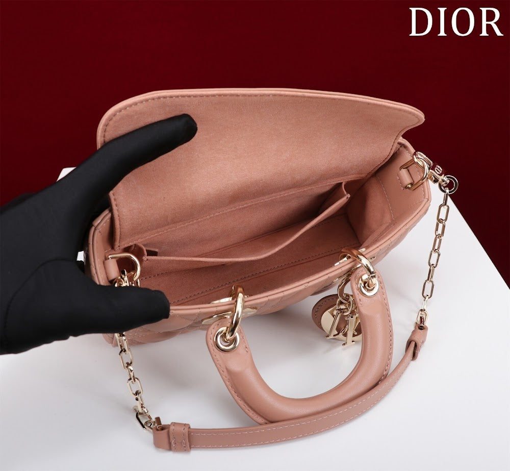 Anum Bags Diorn Luxury Bag --114748