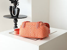 Ezyycart Bags new-luxury-designer-bags-nm2220