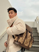 new-designer-premium-bags-nm8346
