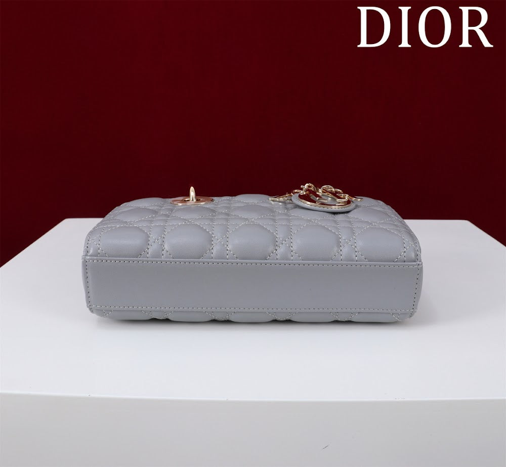 Anum Bags Diorn Luxury Bag --114722