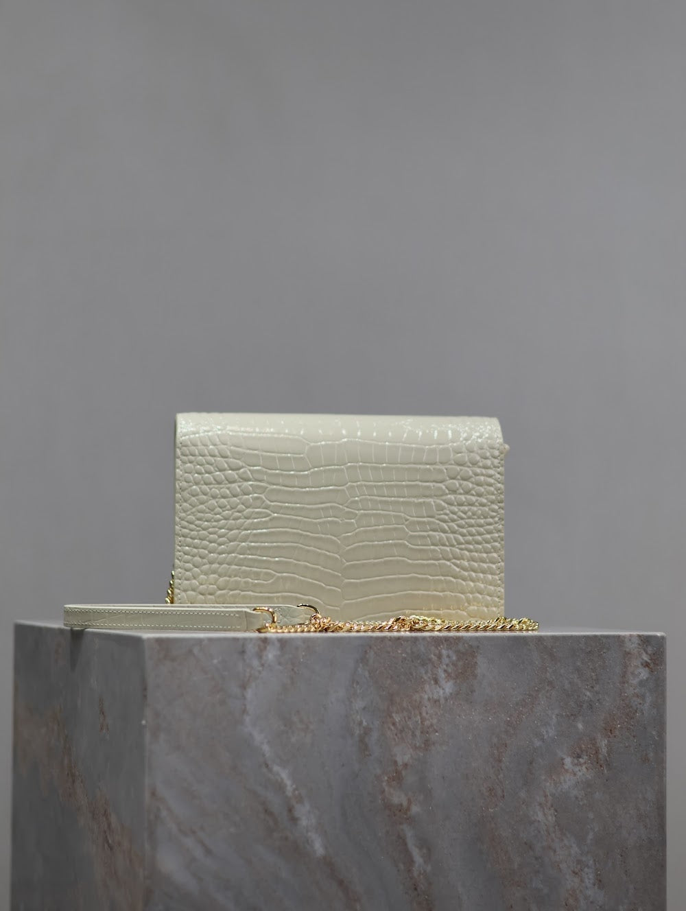 Ezyycart Bags YSLn Luxury Bag --119047