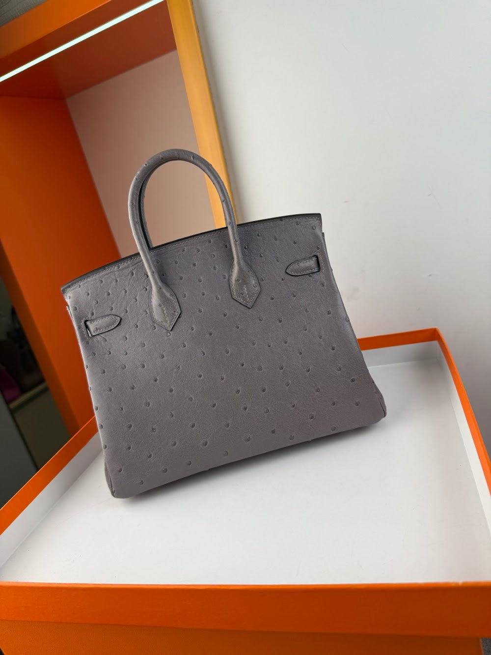 Anum Bags Hermesn Luxury Bag --116753