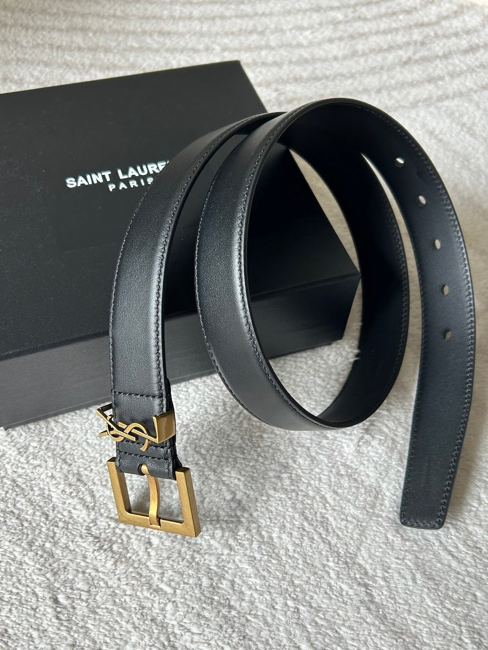 Ezyycart Bags YSLn Luxury Belt --110517