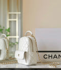 new-designer-premium-bags-nm20721