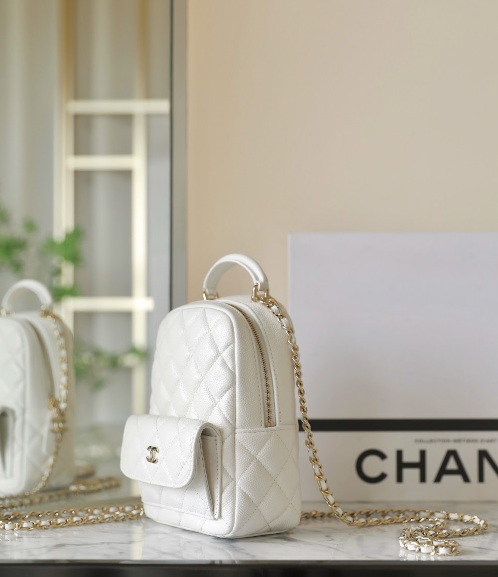 new-designer-premium-bags-nm10179