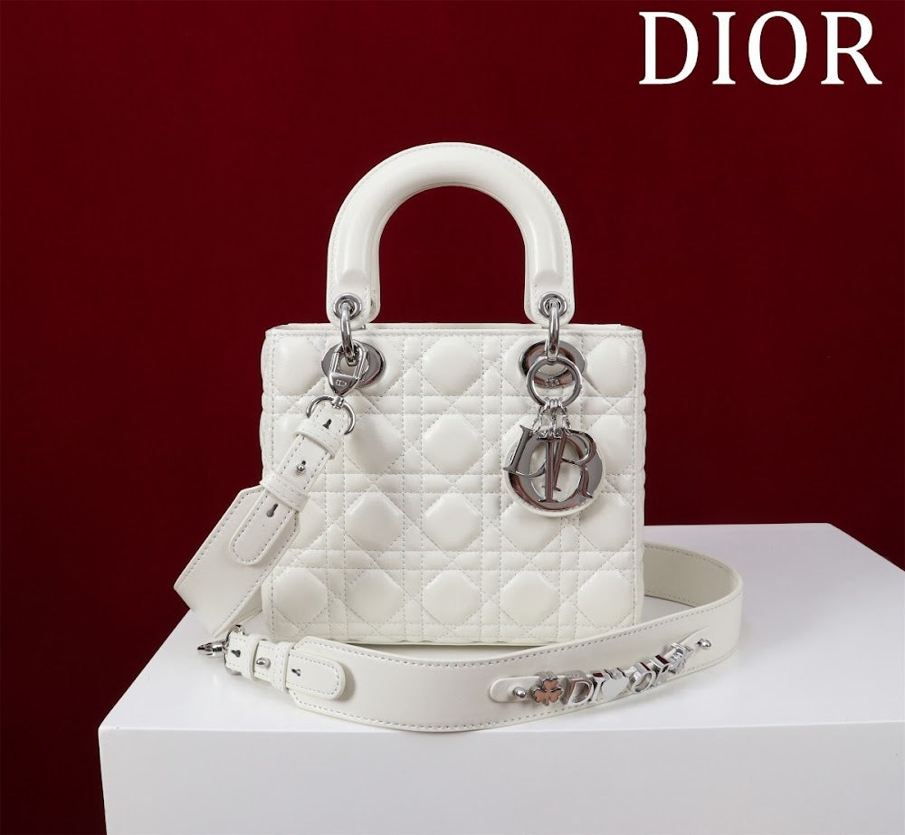 Ezyycart Bags Diorn Luxury Bag --115935