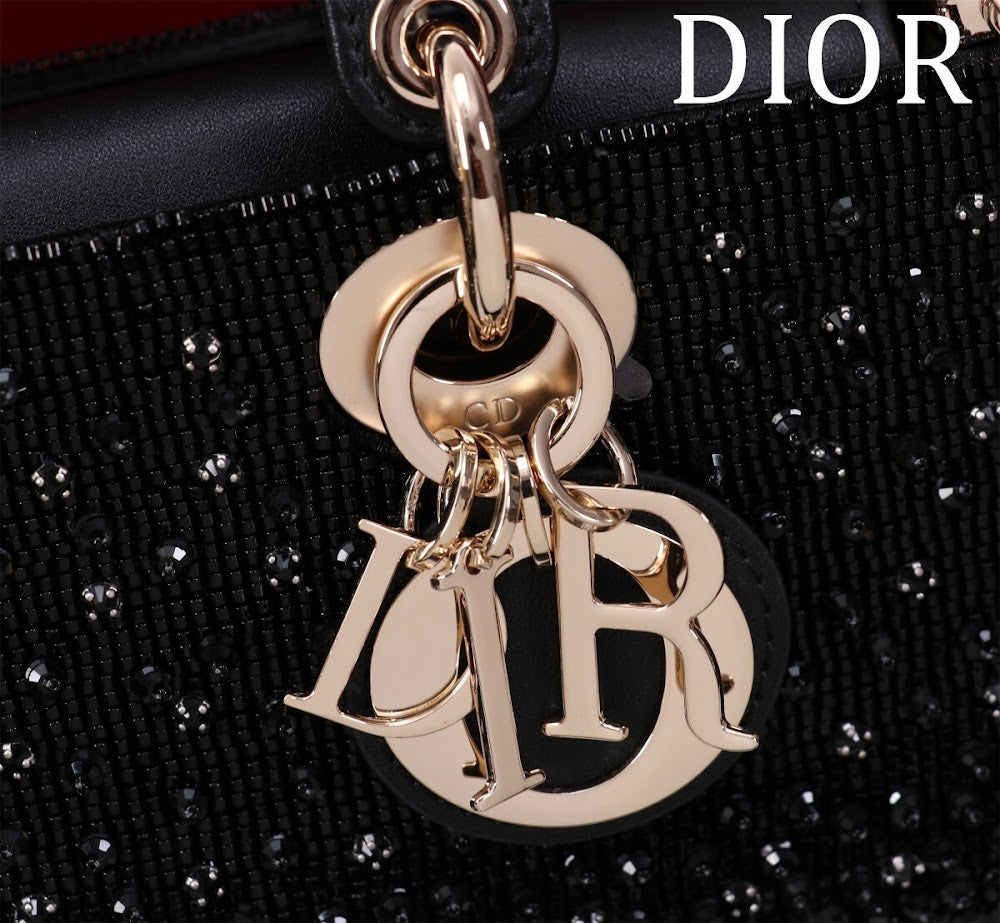 Anum Bags Diorn Luxury Bag --114862