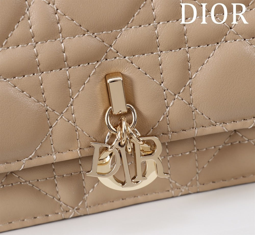 Ezyycart Bags Diorn Luxury Bag --116243