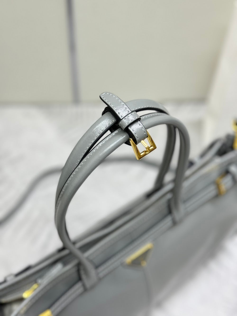 Ezyycart Bags Pradn Luxury Bag --101366