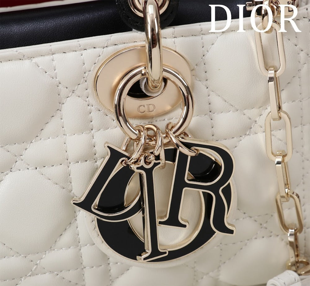 Anum Bags Diorn Luxury Bag --114852