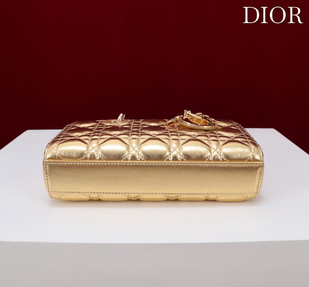 Anum Bags Diorn Luxury Bag --114717