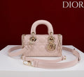 Ezyycart Bags Diorn Luxury Bag --115416