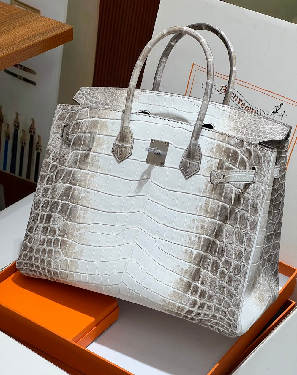 Anum Bags Hermesn Luxury Bag --116725