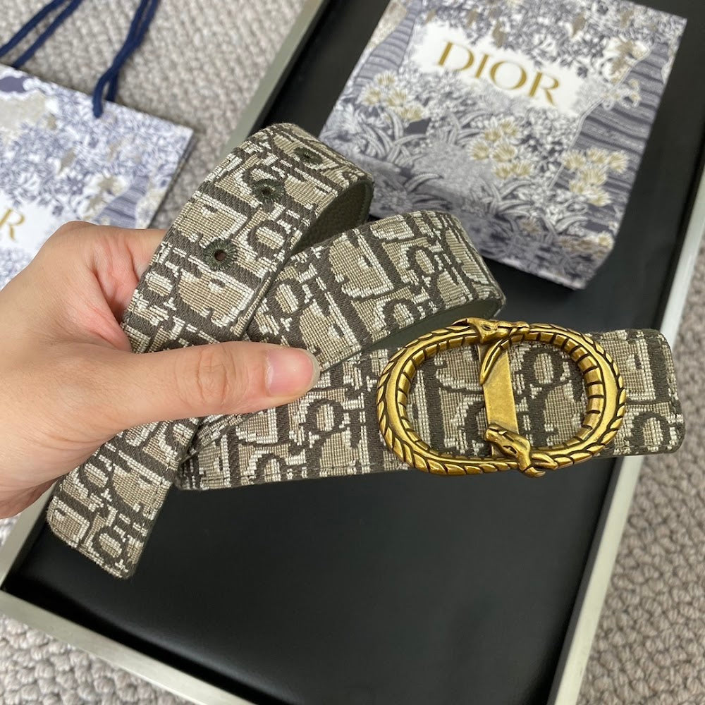 Anum Bags Diorn Luxury Belt --104888