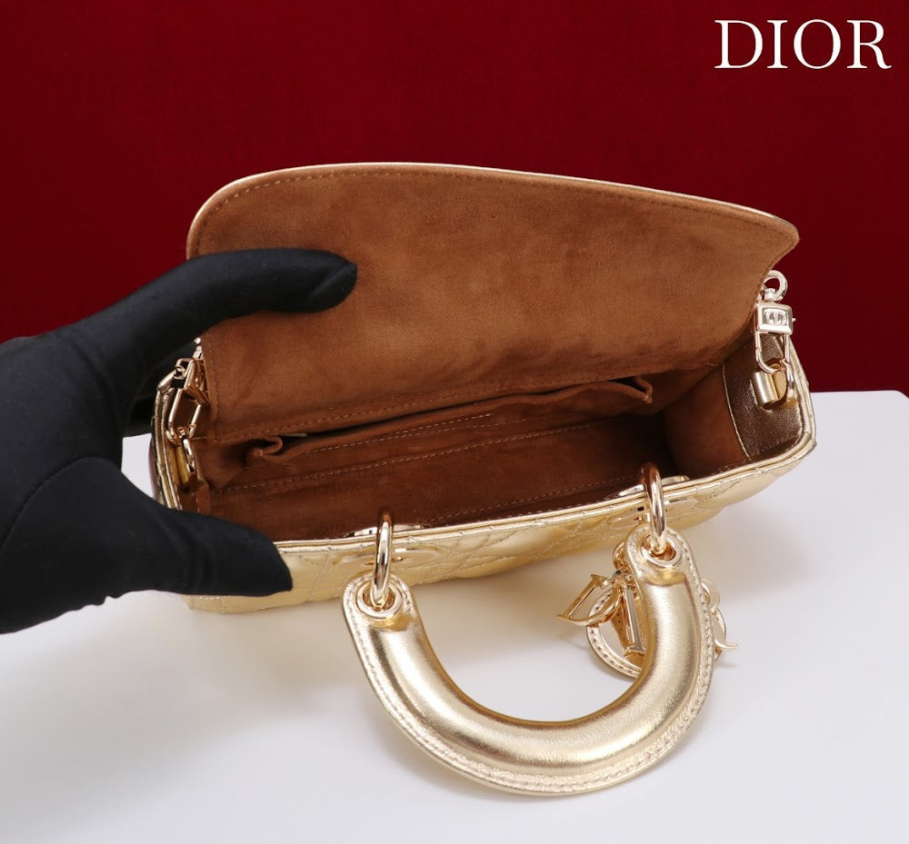 Anum Bags Diorn Luxury Bag --114716