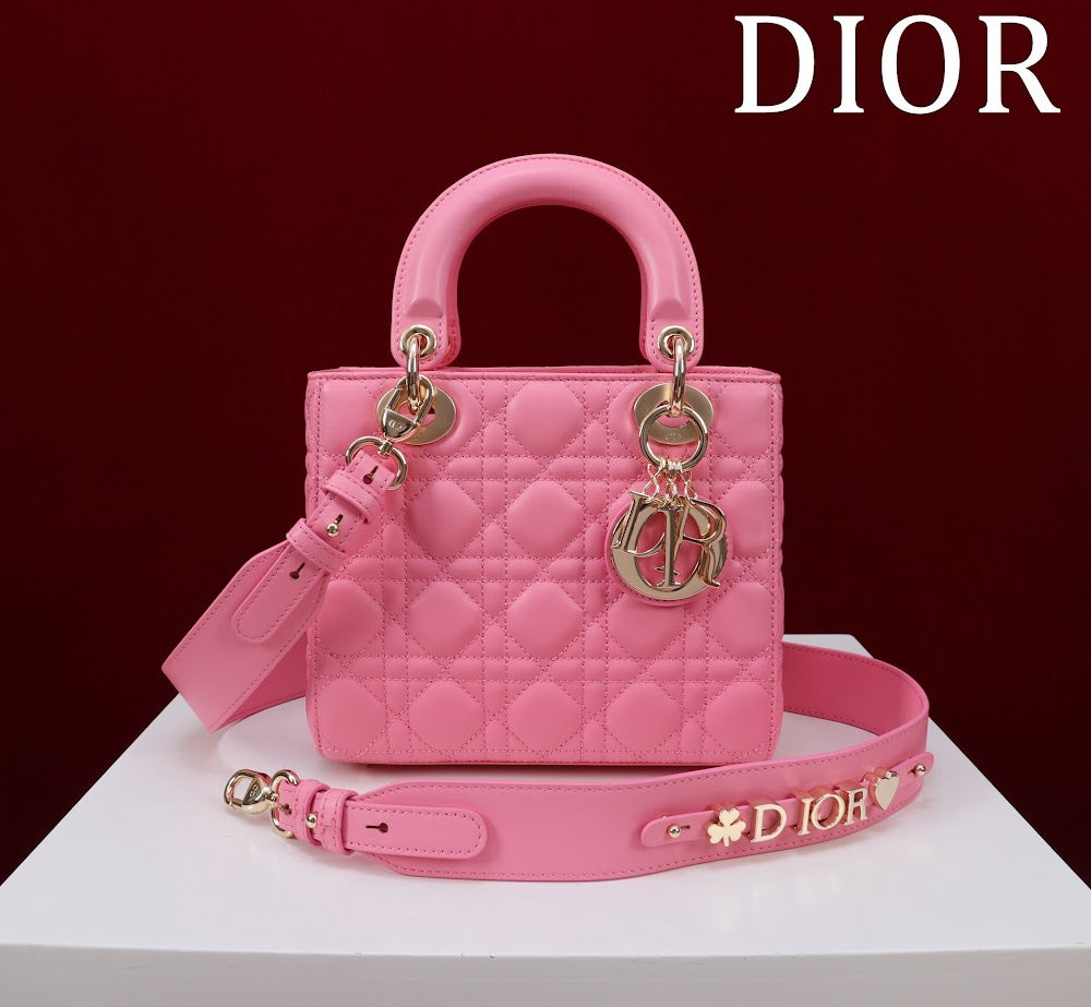 Ezyycart Bags Diorn Luxury Bag --115917
