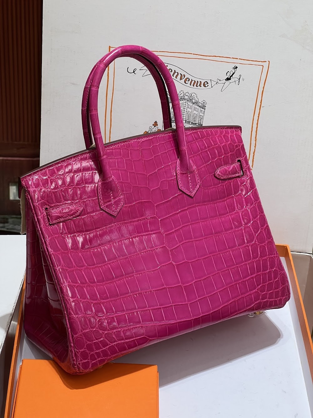 Anum Bags Hermesn Luxury Bag --117233