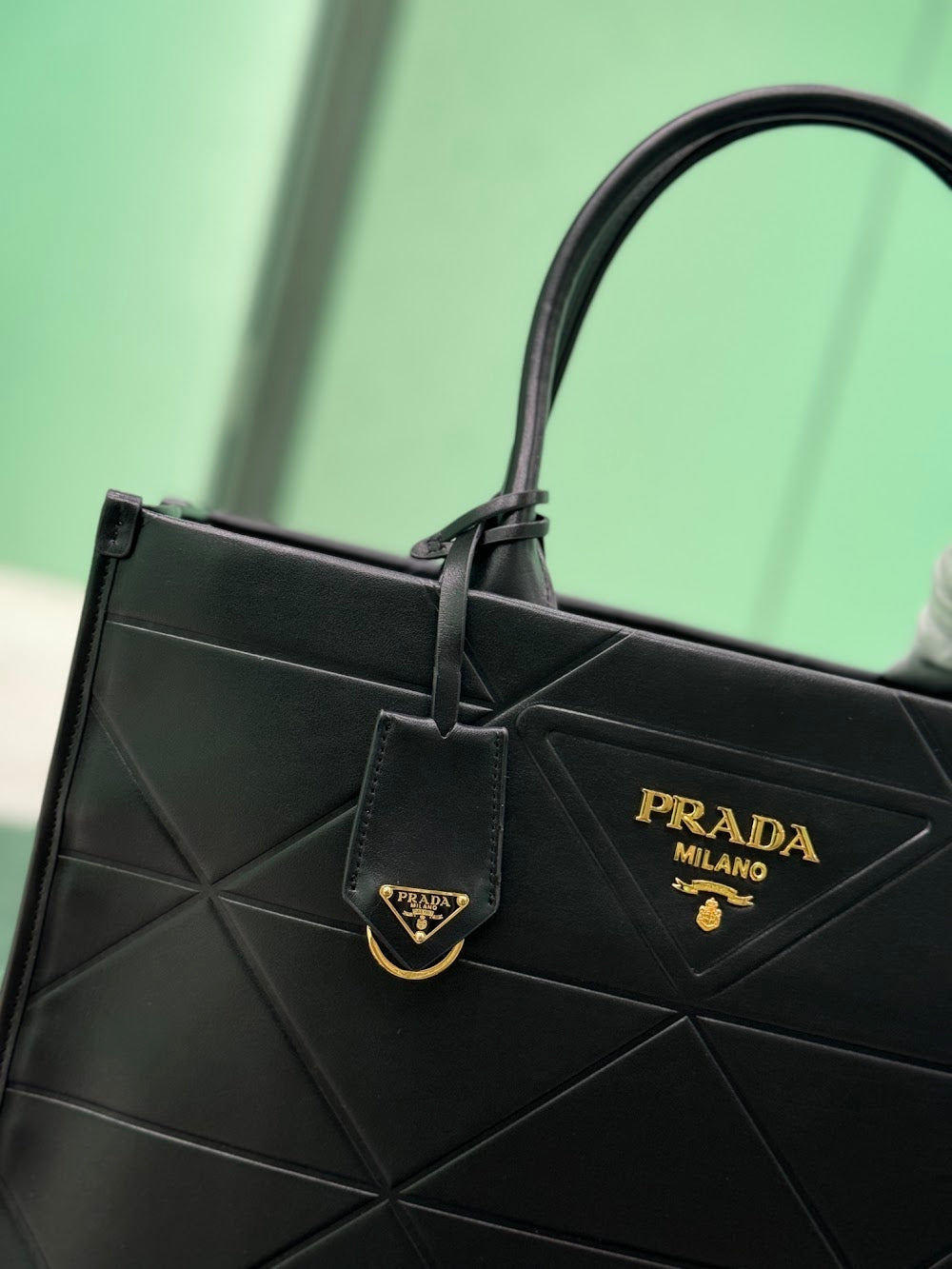 Ezyycart Bags Pradn Luxury Bag --101638