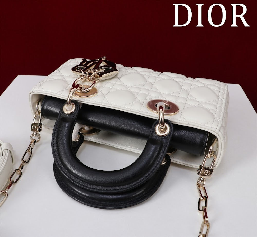 Anum Bags Diorn Luxury Bag --114845