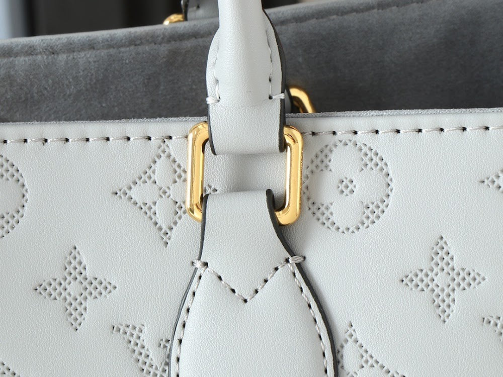 Anum Bags LVn Luxury Bag --78684
