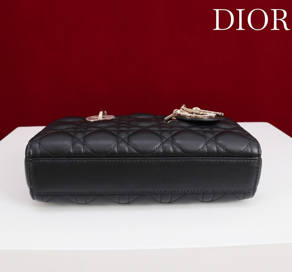 Ezyycart Bags Diorn Luxury Bag --115624