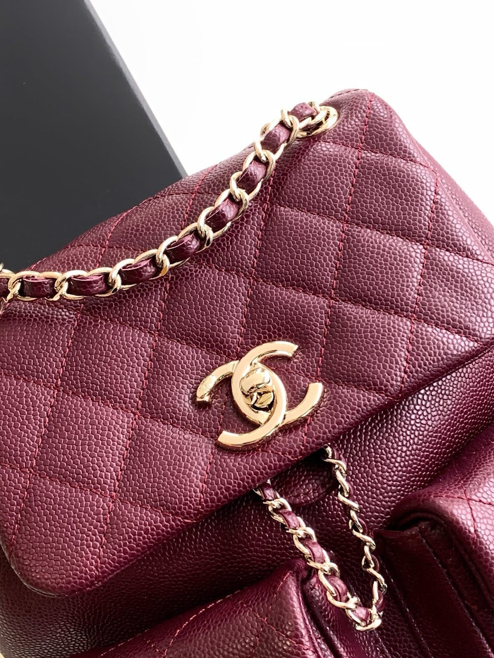 new-designer-premium-bags-nm20209