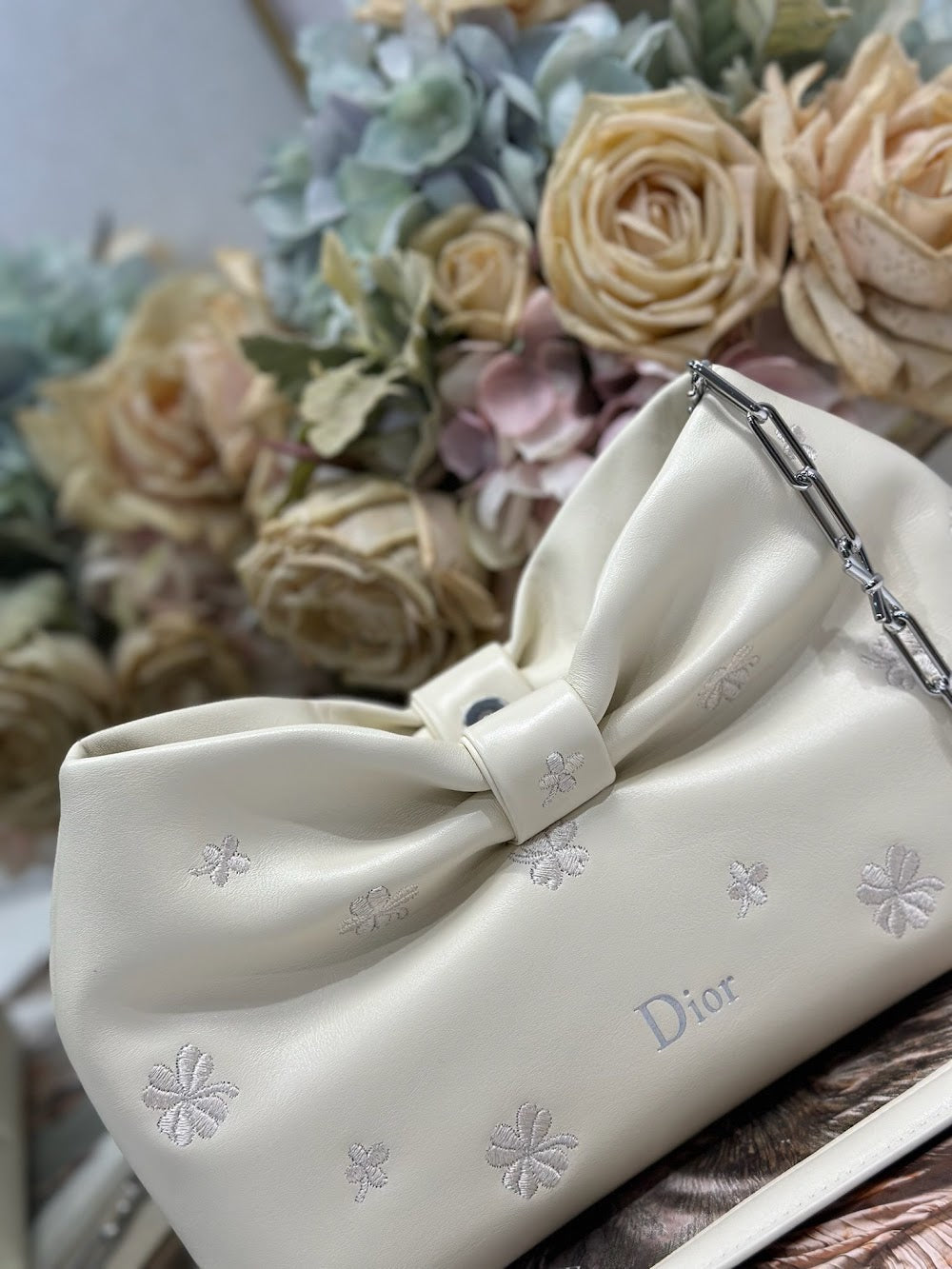 Ezyycart Bags Diorn Luxury Bag --115313