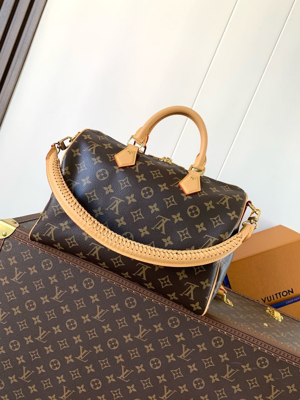 Anum Bags LVn Luxury Bag --80259