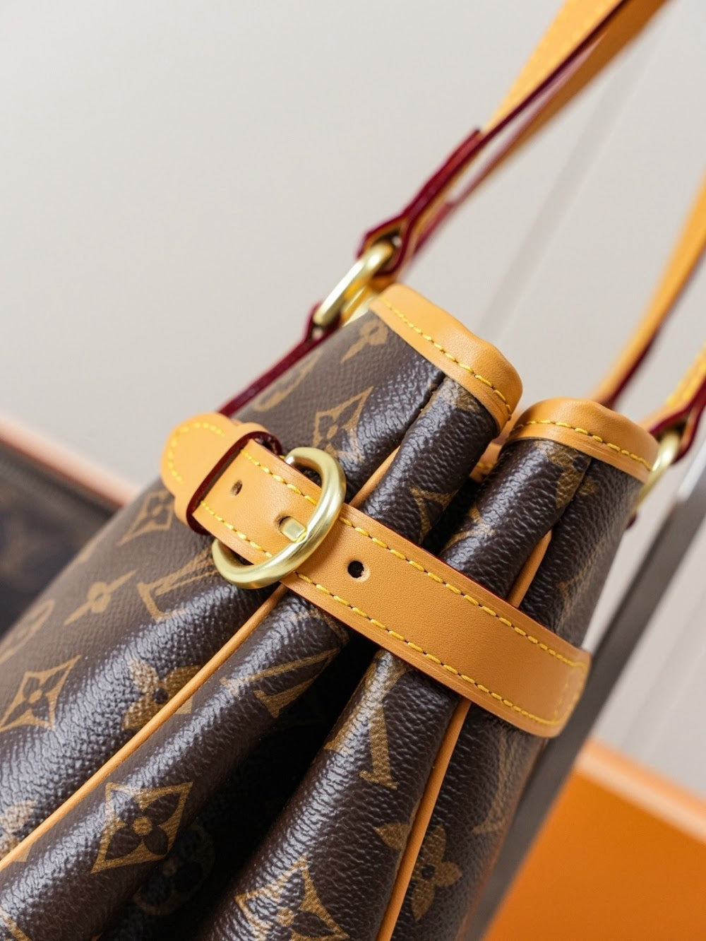 Anum Bags LVn Luxury Bag --79102