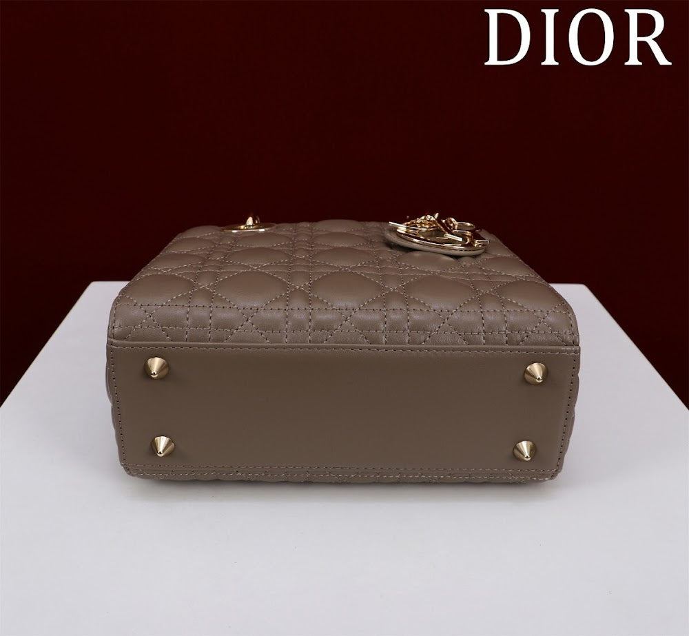 Ezyycart Bags Diorn Luxury Bag --115914