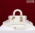 Anum Bags Diorn Luxury Bag --114764