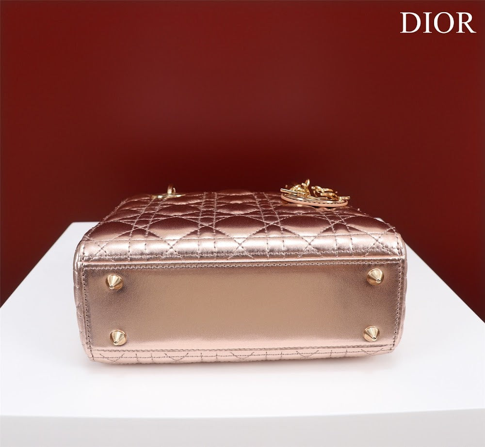 Ezyycart Bags Diorn Luxury Bag --115937
