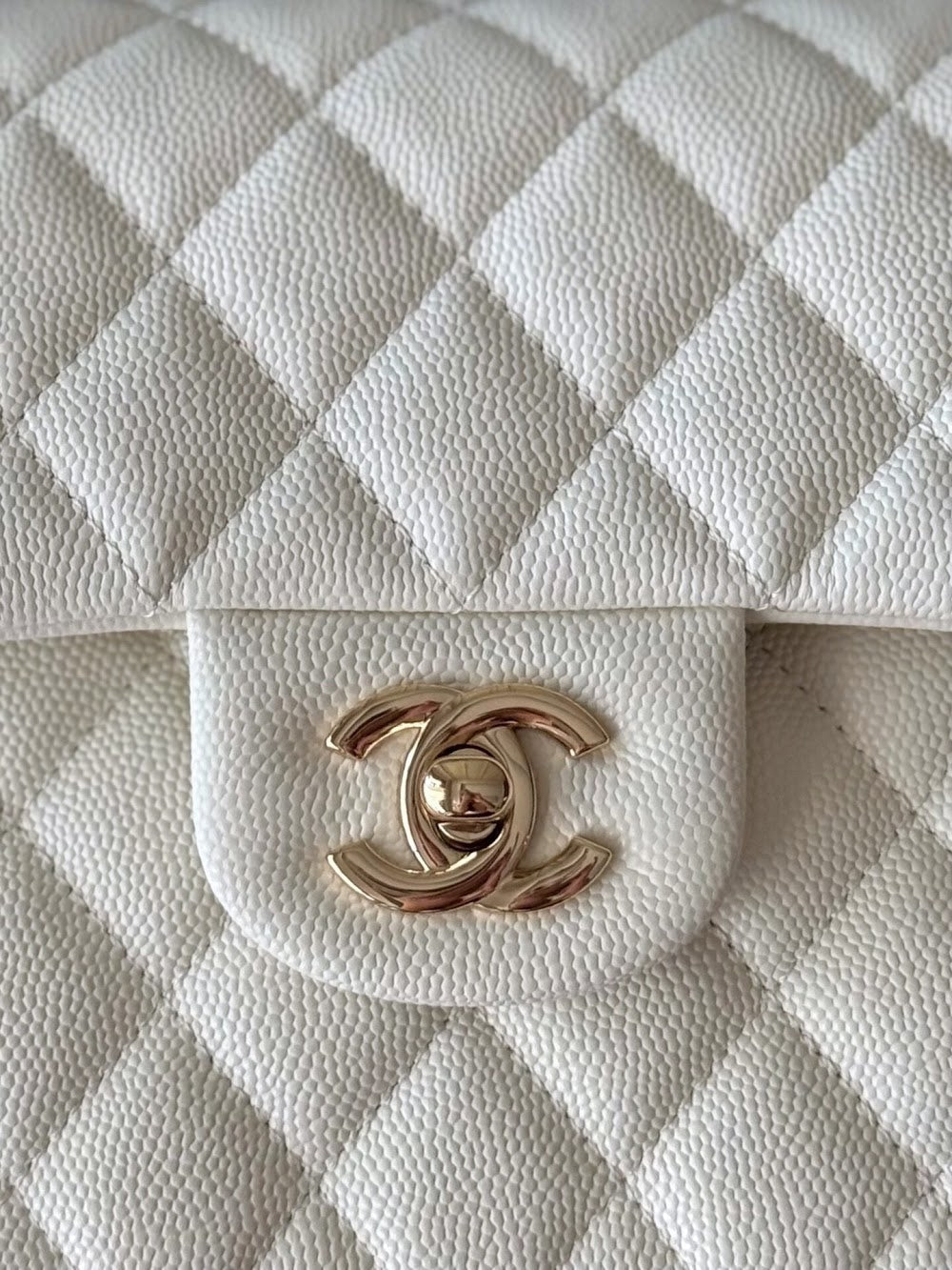 Anum Bags CHn Luxury Bag --112765