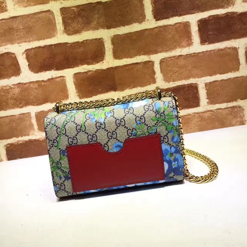 new-designer-premium-bags-nm17650