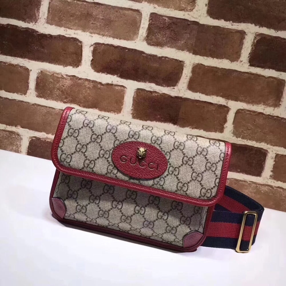 new-designer-premium-bags-nm17678