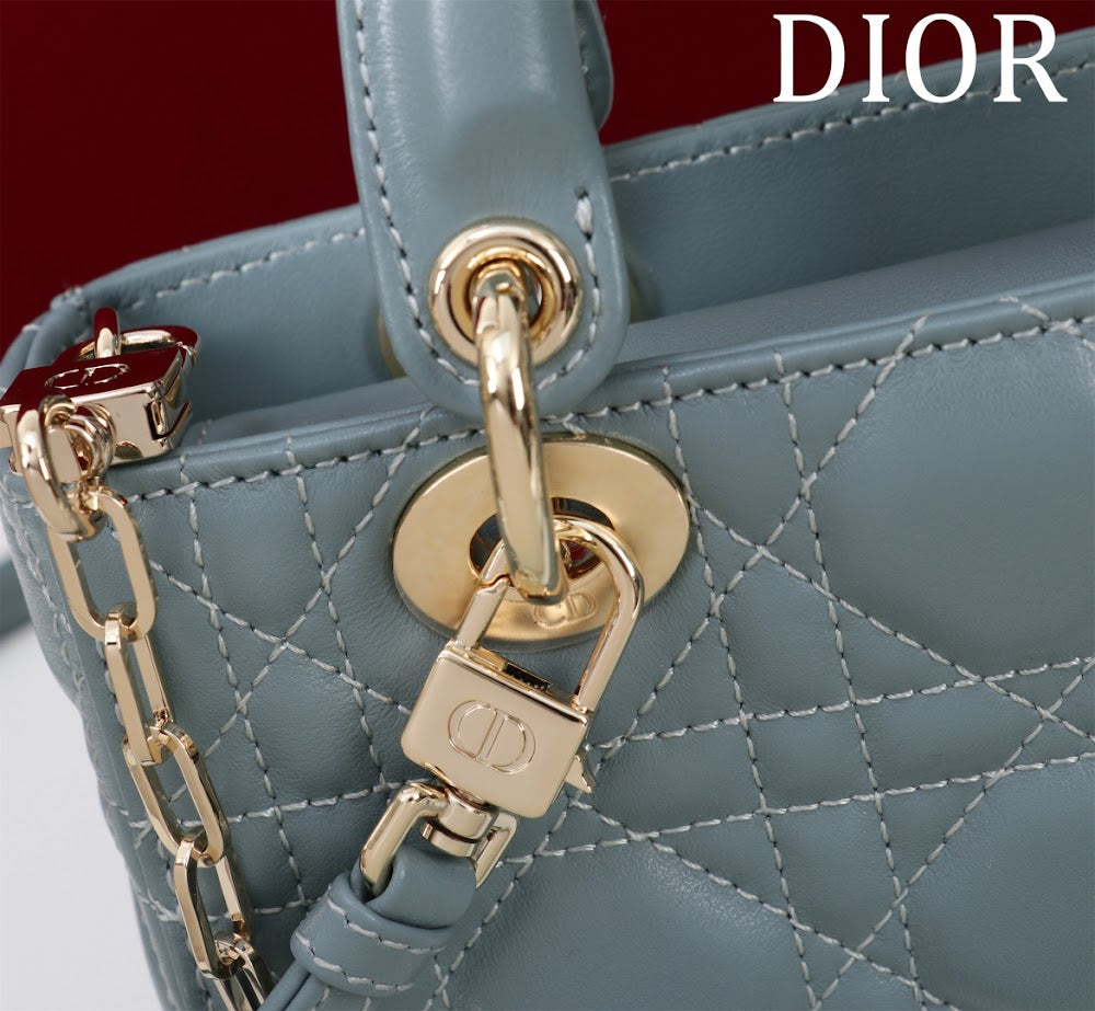Ezyycart Bags Diorn Luxury Bag --116478