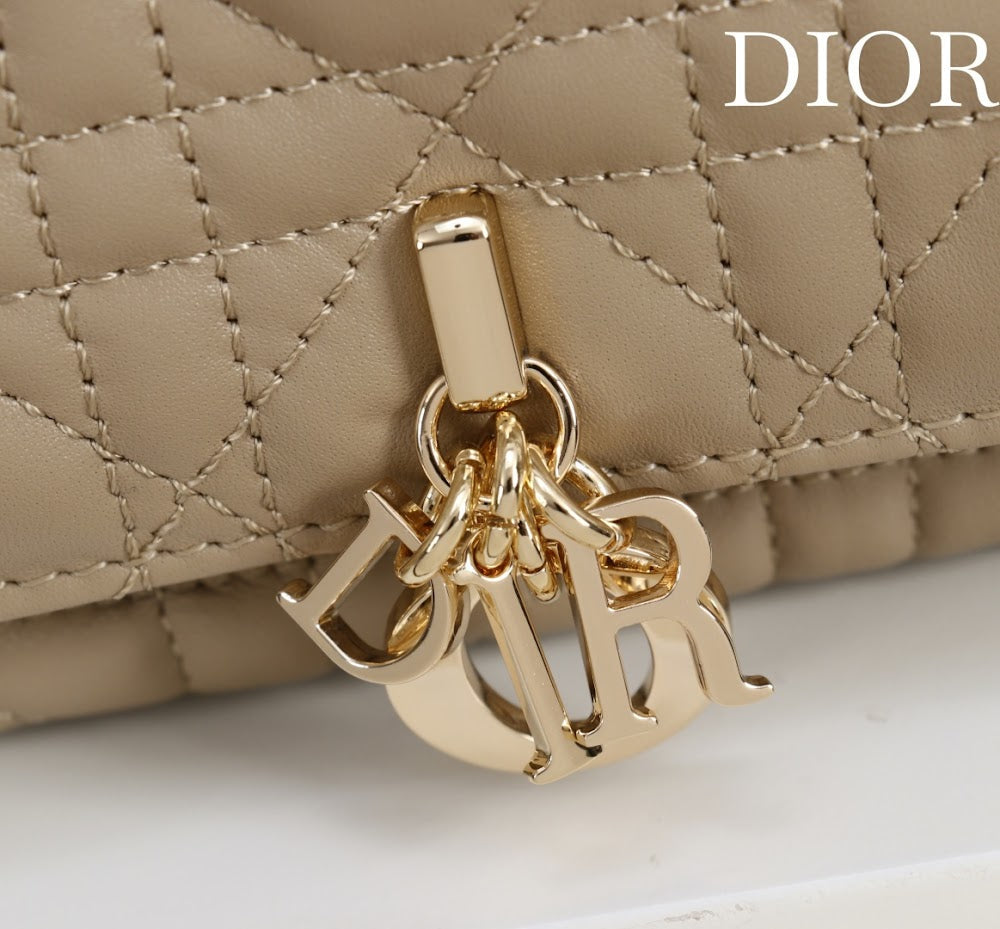 Ezyycart Bags Diorn Luxury Bag --116362