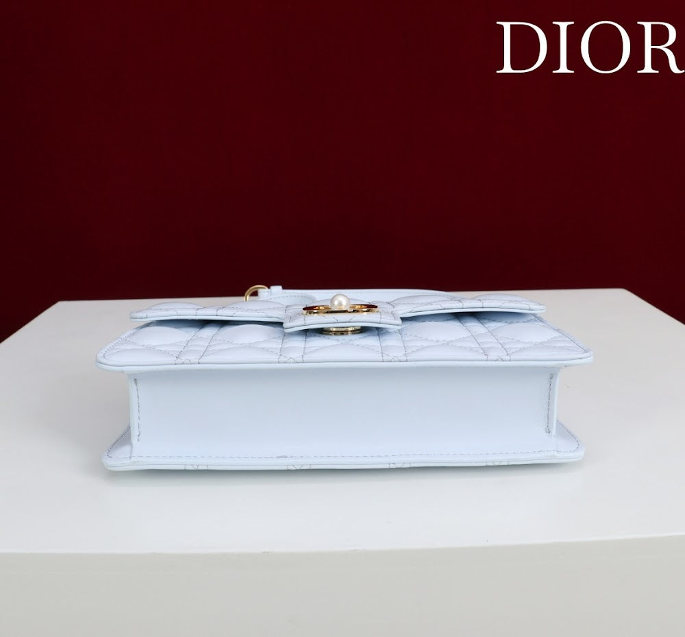 Ezyycart Bags Diorn Luxury Bag --116384