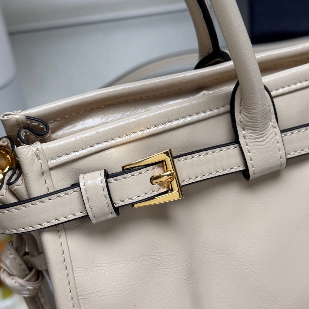 Ezyycart Bags Pradn Luxury Bag --102223