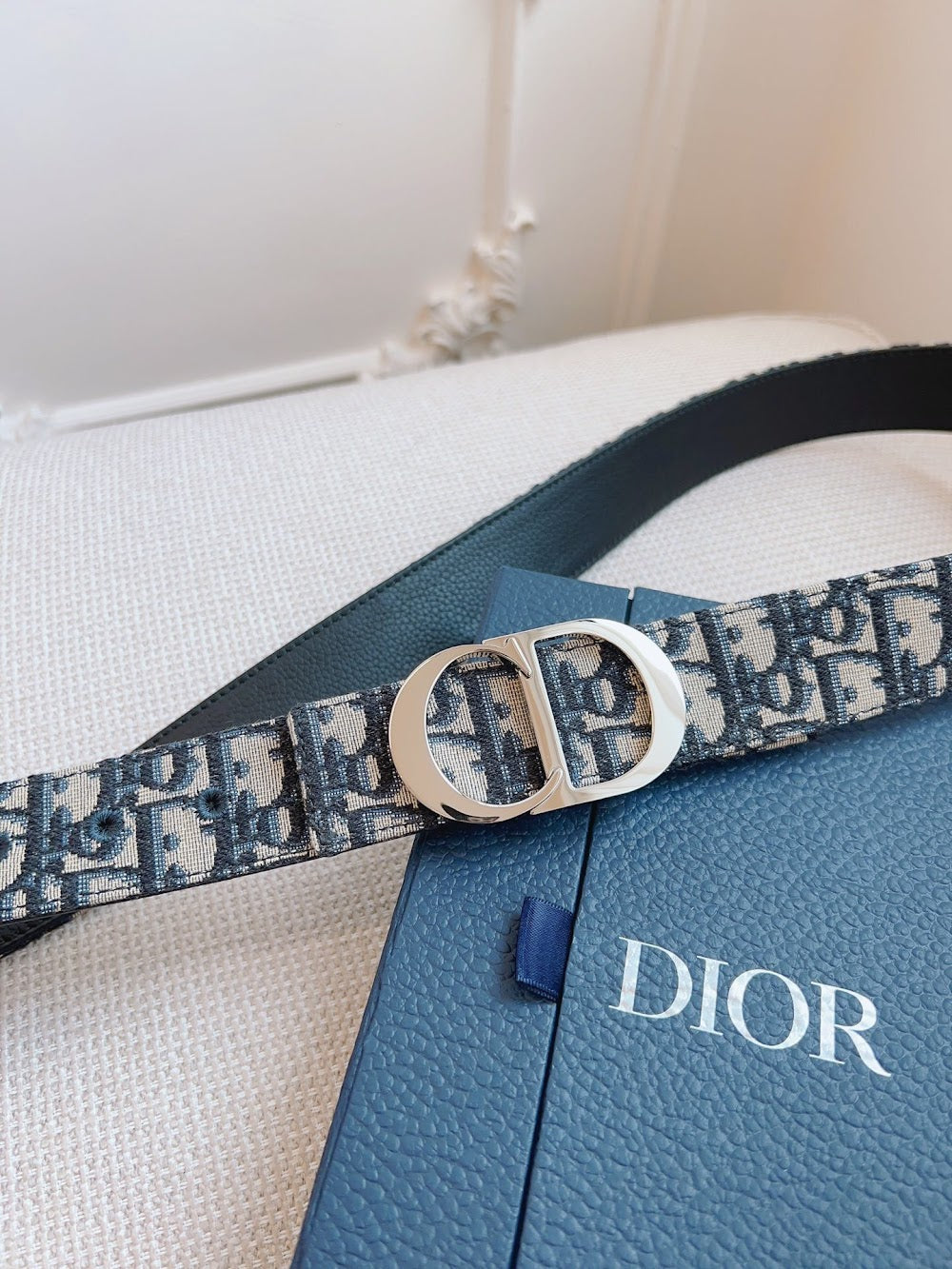 Anum Bags Diorn Luxury Belt --107787