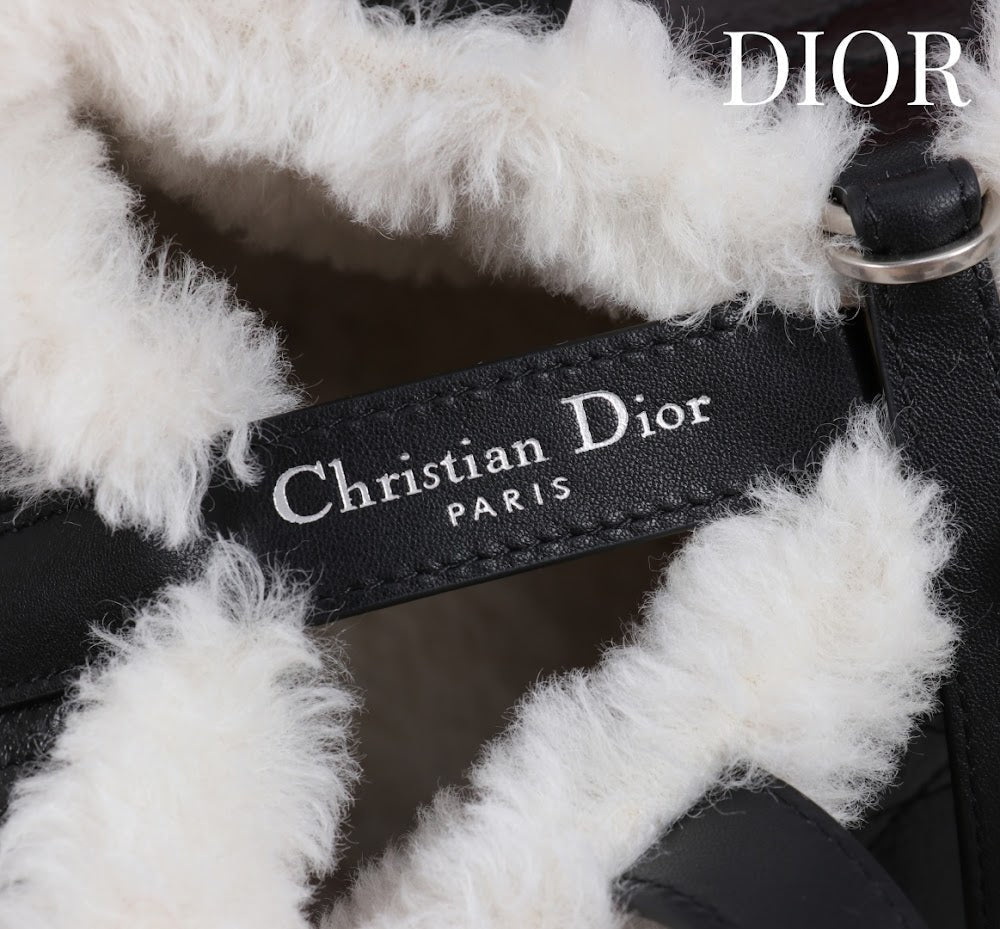 Anum Bags Diorn Luxury Bag --114887