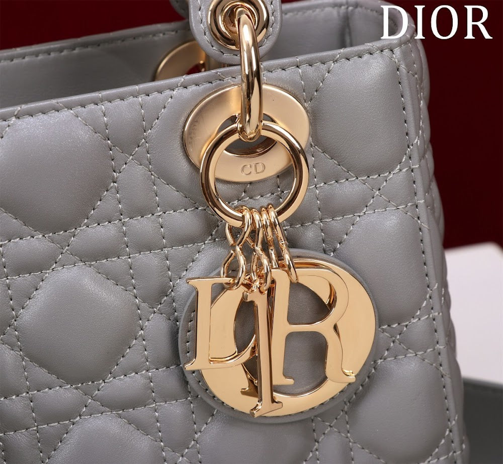 Ezyycart Bags Diorn Luxury Bag --115911