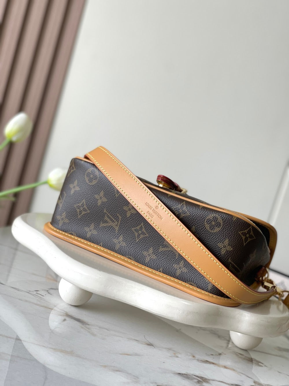 Anum Bags LVn Luxury Bag --79397